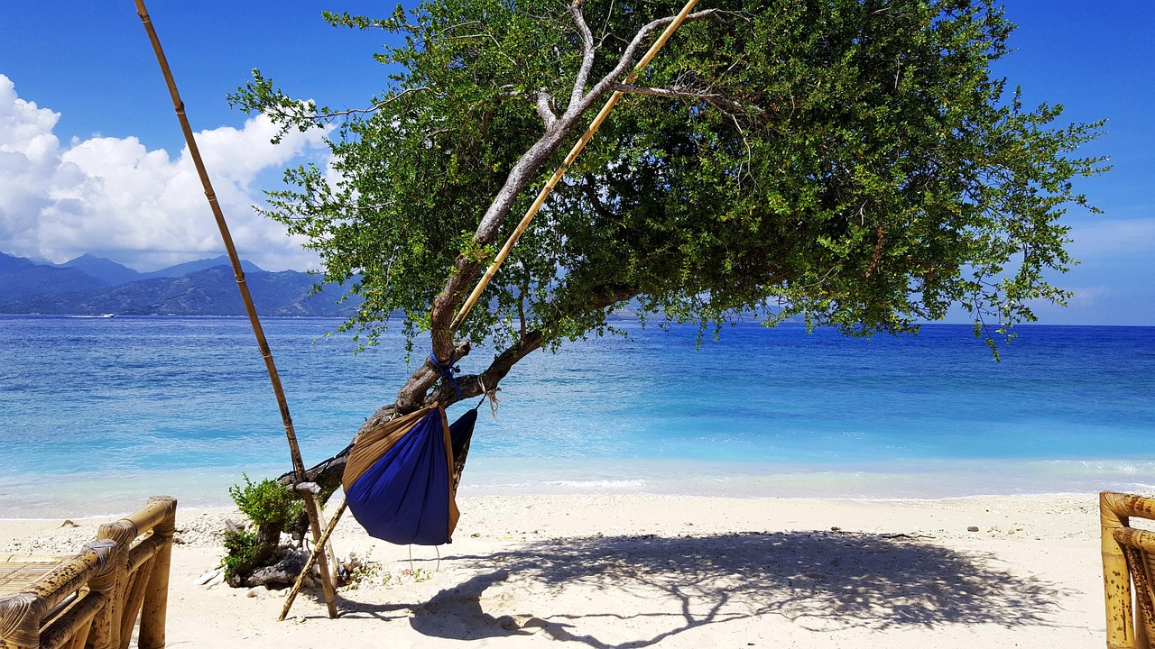 Hammocks, Swings, and Rockers: Finding Your Perfect Lazy Seat