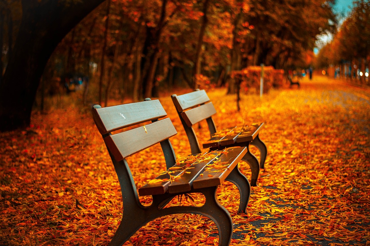 One Bench, Three Ways: Styling Outdoor Seating Like a Room