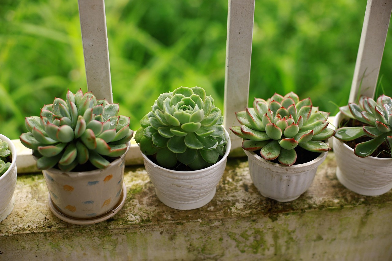 Small Balcony, Big Evenings: Making Outdoor Seating Work in Tight Spaces
